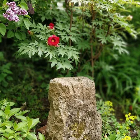 Le Du Manoir Delarue Feriehus